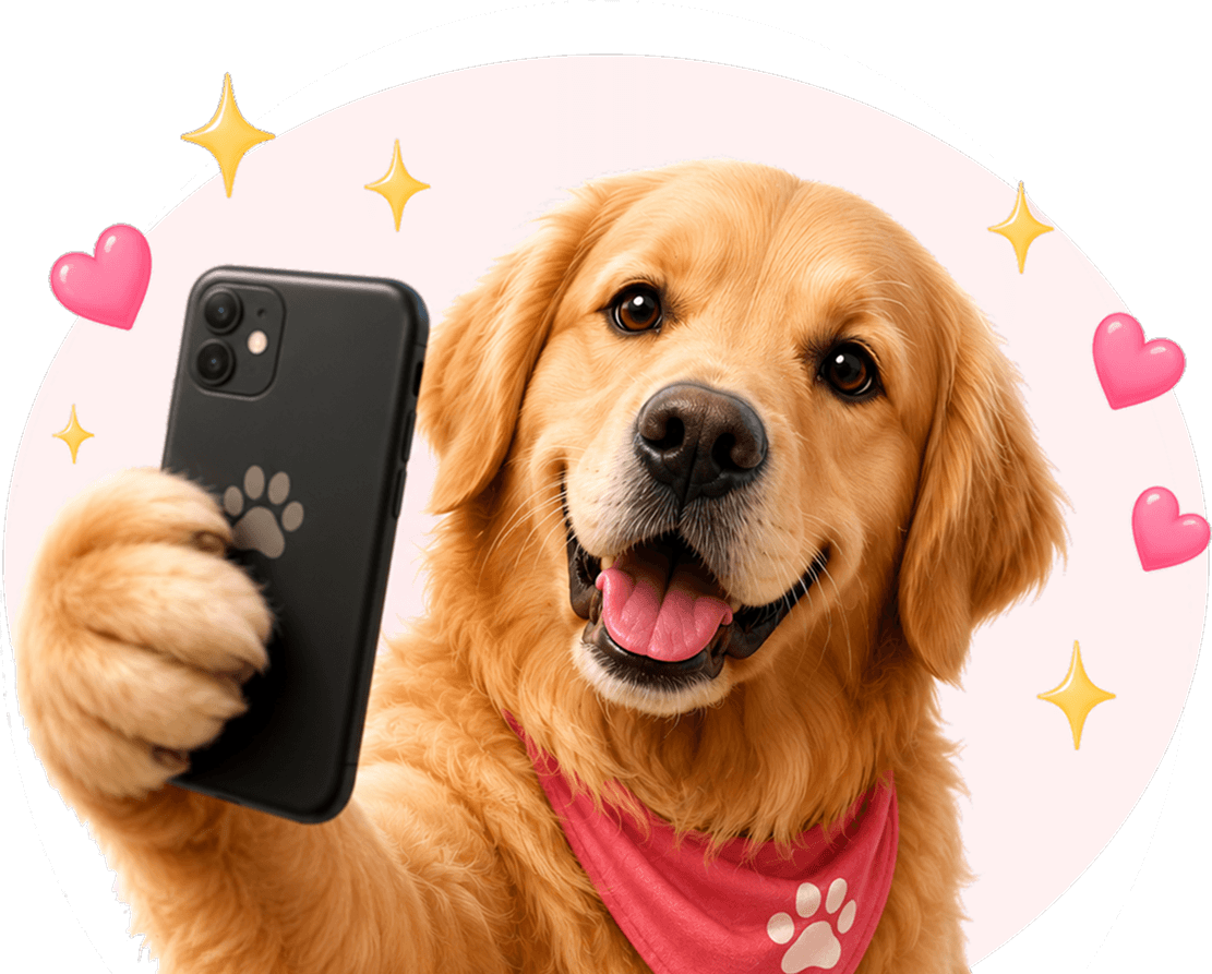 Pet